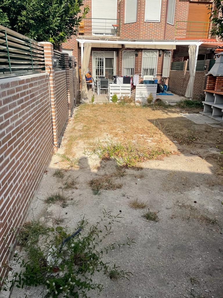 Antes