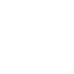 Logotipo Fevilches
